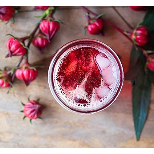 Hạt giống dâm bụt đỏ Roselle - Gói Hibiscus sabdariffa Miến Điện Chin Baung Jamaica