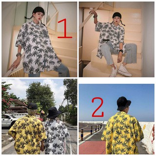 Áo sơ mi đi biển cây dừa nam nữ