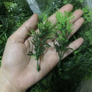 Cỏ điểm nhiều mẫu
