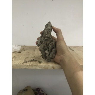 Đá tai mèo ghép bonsai hòn non bộ tiểu cảnh