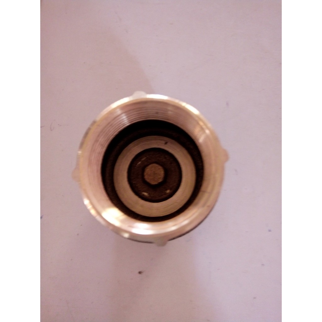 Van 1 chiều lòa xo DN40  bằng đồng, hiệu TY 101 Tah Yang Đài Loan