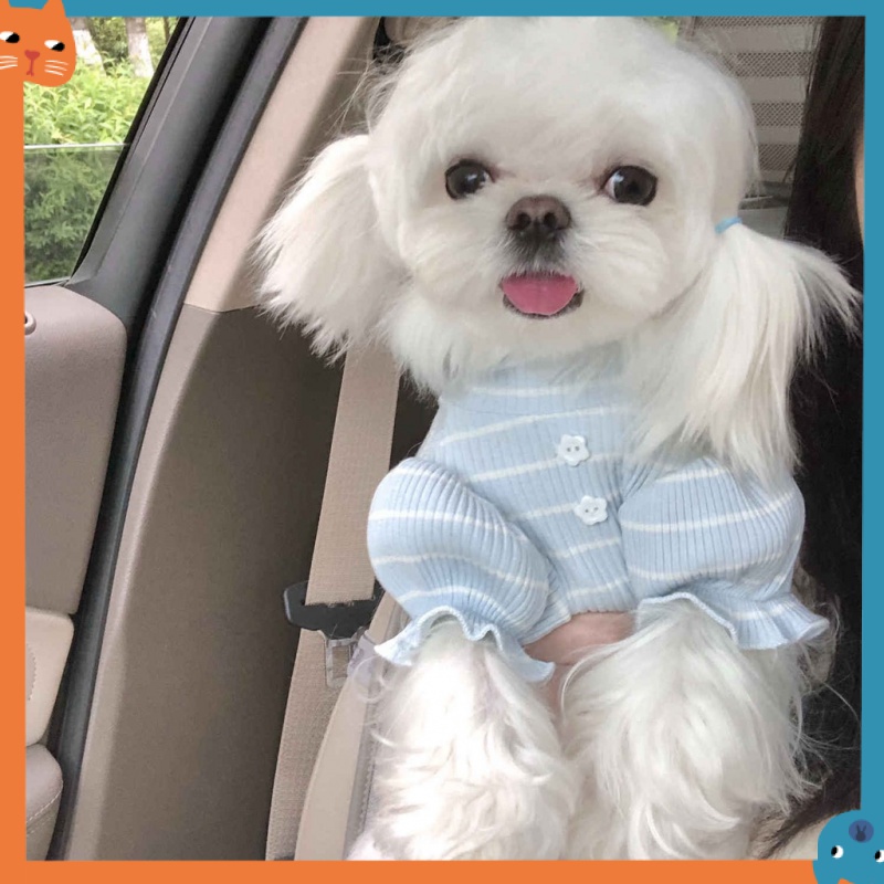 Áo Thun MùA Hè Cho Thú Cưng