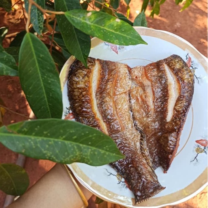 Khô Cá Lóc 2 Nắng VITOT Ngon Đậm Đà Đến Từng Thớ Thịt, Đóng Gói 500gr
