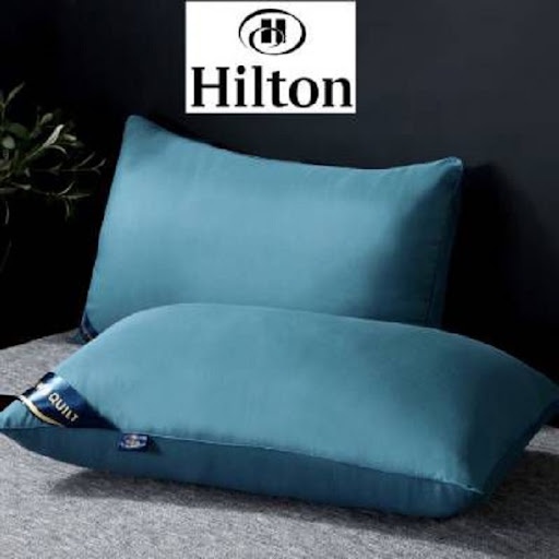 01 cặp Ruột gối Hilton 45cm x 65cm, màu ngẫu nhiên
