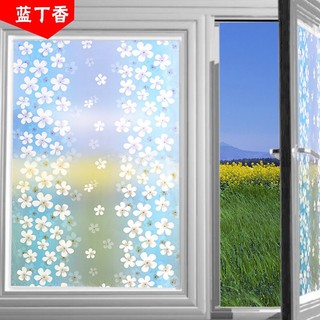 Combo 5m giấy dán kính hoa mai xanh