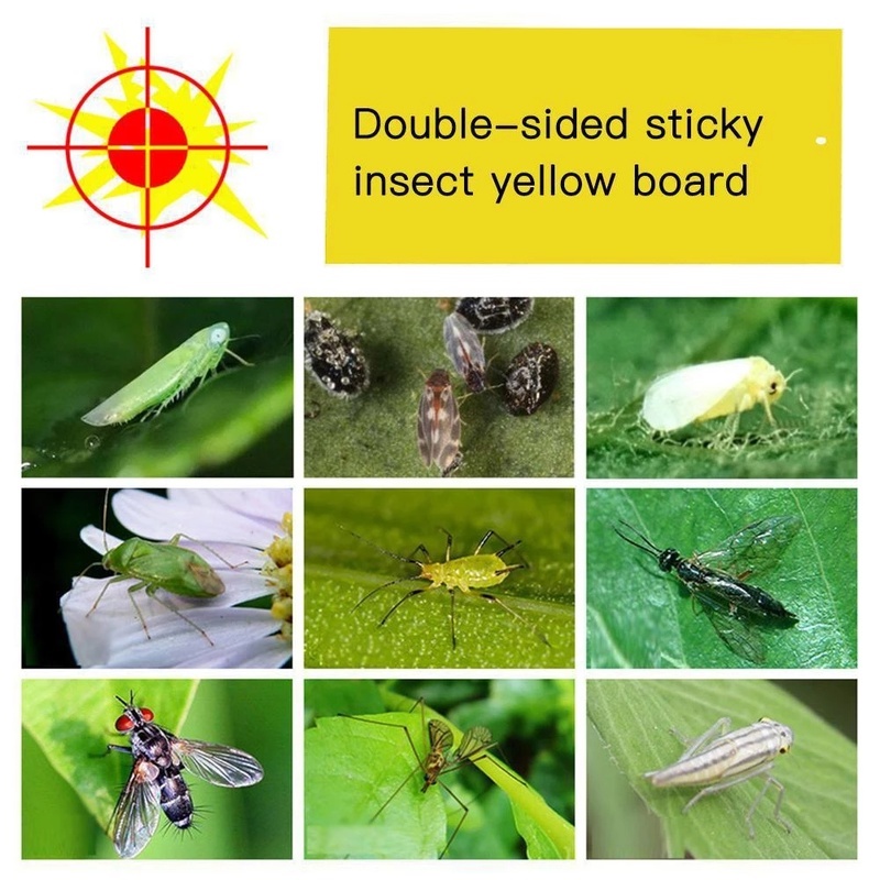 2/5/10Pcs Pack Double Sided Thicken Mosquito Viscosity Board / Home Balcony Garden Yellow Environmental Friendly Physical Plastic Lure Insect Sticky Plates