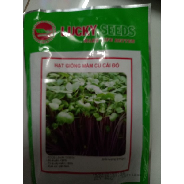 Hạt giống rau mầm củ cải đỏ( 50 gr)