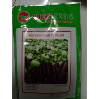 Hạt giống rau mầm củ cải đỏ