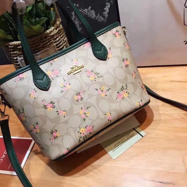 Túi Coach