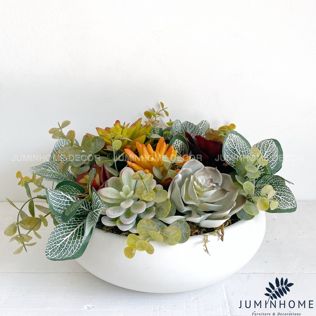 Cây giả Decor - Chậu sen đá bát Decor Trang trí để bàn