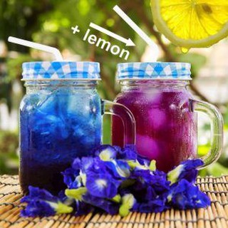 HOA ĐẬU BIẾC KHÔ 50GR