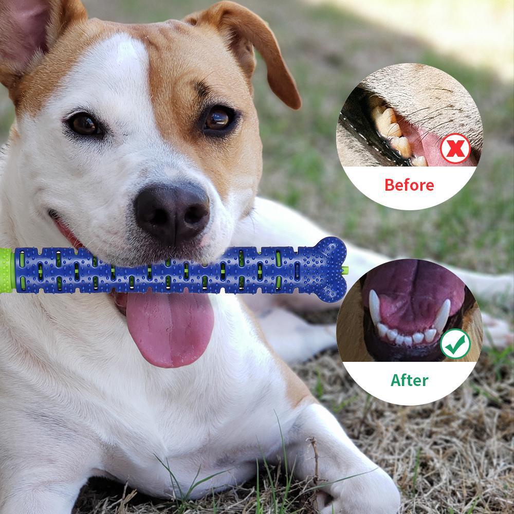 GOGOUP Bàn Chải Đánh Răng Silicone Cho Chó Gặm