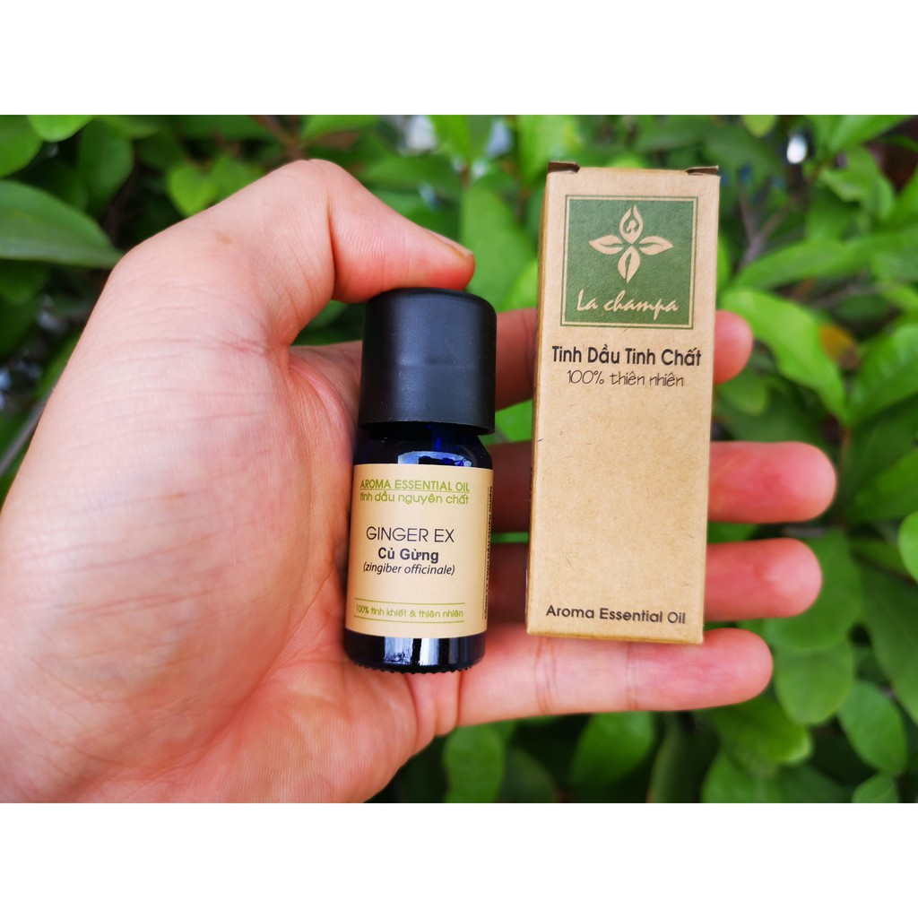 Tinh Dầu Củ Gừng ,Tinh Dầu Gừng Ginger Oil 10ml-100ml