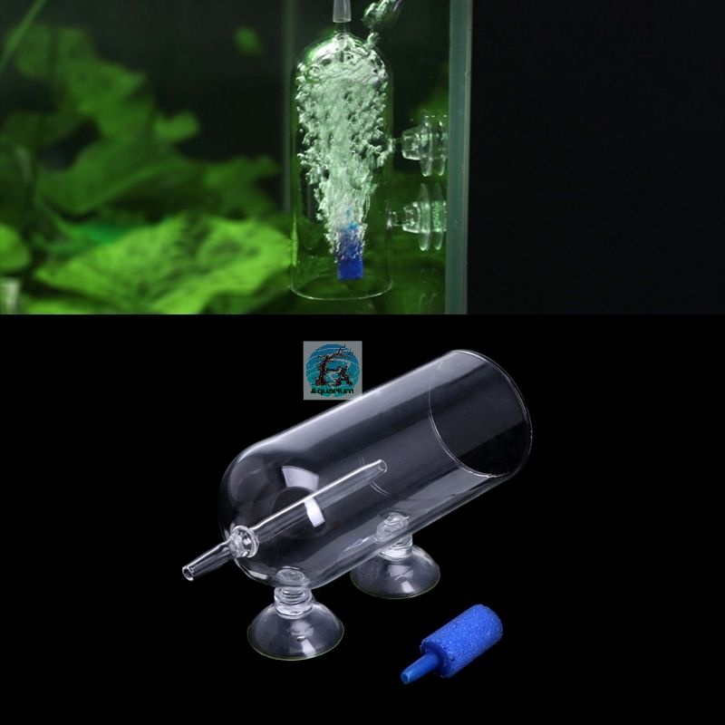 Cốc sủi oxy chống văng nước thủy tinh