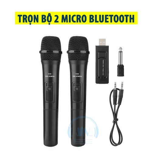 Mic đôi V20 bluethooth dành cho loa kéo các loại