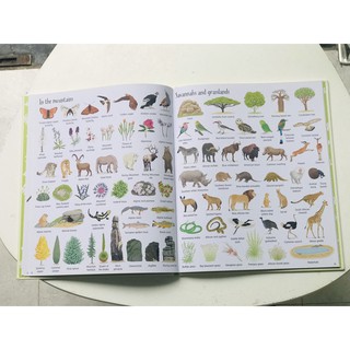 Sách - 1000 Things In Nature