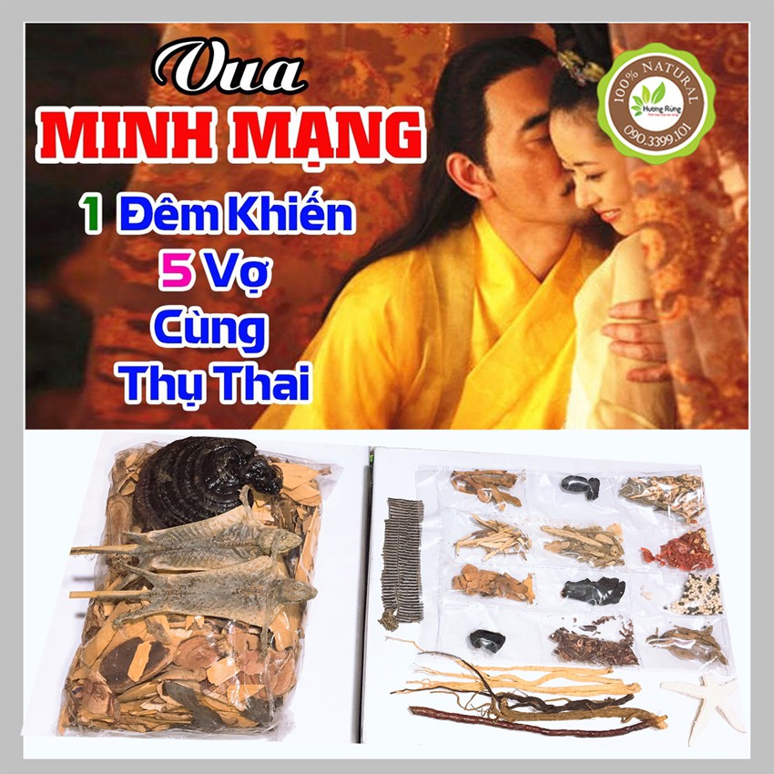 [LOẠI LỚN CHÍNH HIỆU] MINH MẠNG THANG - Bổ Thận Tráng Dương, 2 tắc kè, 2kg, Minh Mạng chính hiệu - ĐẶC SẢN HƯƠNG RỪNG