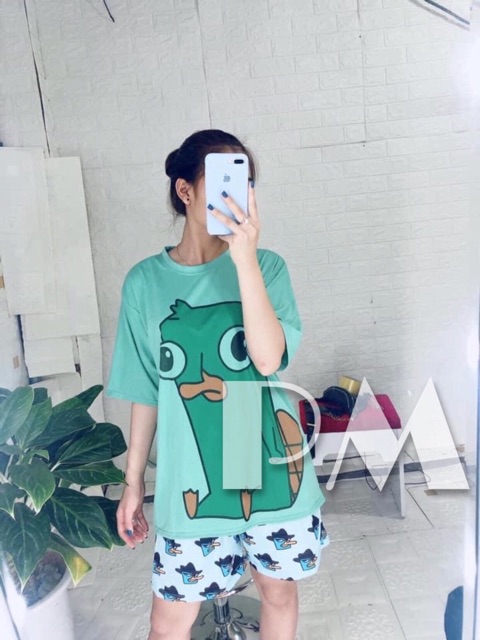 Sét áo quần hình chim xanh PM12