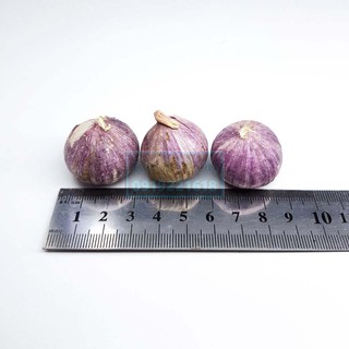 Tỏi cô đơn ( 2KG LOẠI TRUNG).