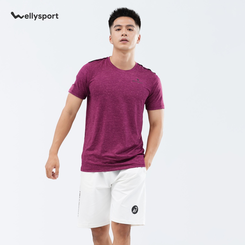 Áo Thun Thể Thao Nam Cao Cấp Cổ Tròn logo ngực trái, Welly Sport, Màu đỏ đô, Mã ALGNT03