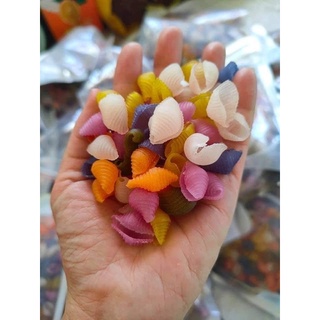 nui sò cầu vồng