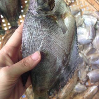 Combo khô mắm cho khách