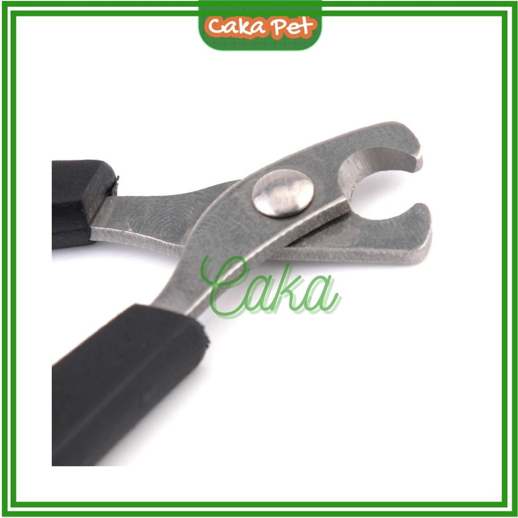 Kéo cắt móng chuột lang (bọ ú), thỏ, mèo, chó nhỏ 𝗕𝗮̉𝗼 𝗵𝗮̀𝗻𝗵 𝟭 đ𝗼̂̉𝗶 𝟭 Hàng nhập