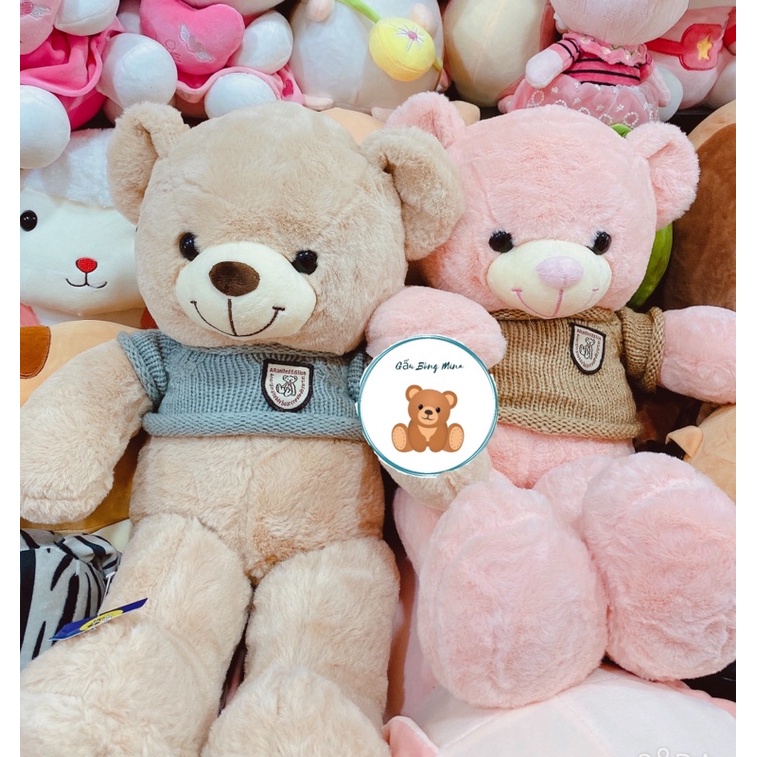 Gấu Bông Teddy Mặc Áo Len Cho Bé Cao Cấp - Gấu Bông Mina