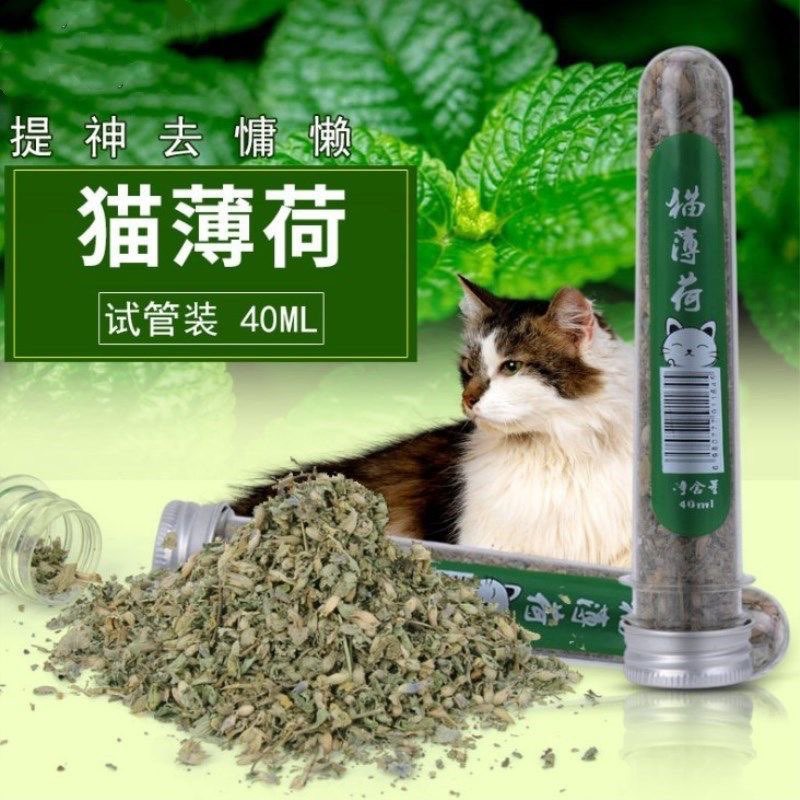 CỎ MÈO BẠC HÀ CATNIP DẠNG ỐNG 40ml - BAO PHÊ BAO ÊM CHO MÈO IU