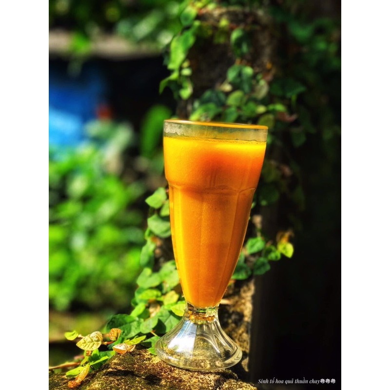 Men sữa chua thuần chay hạnh phúc/Men làm sữa chua | BigBuy360 - bigbuy360.vn