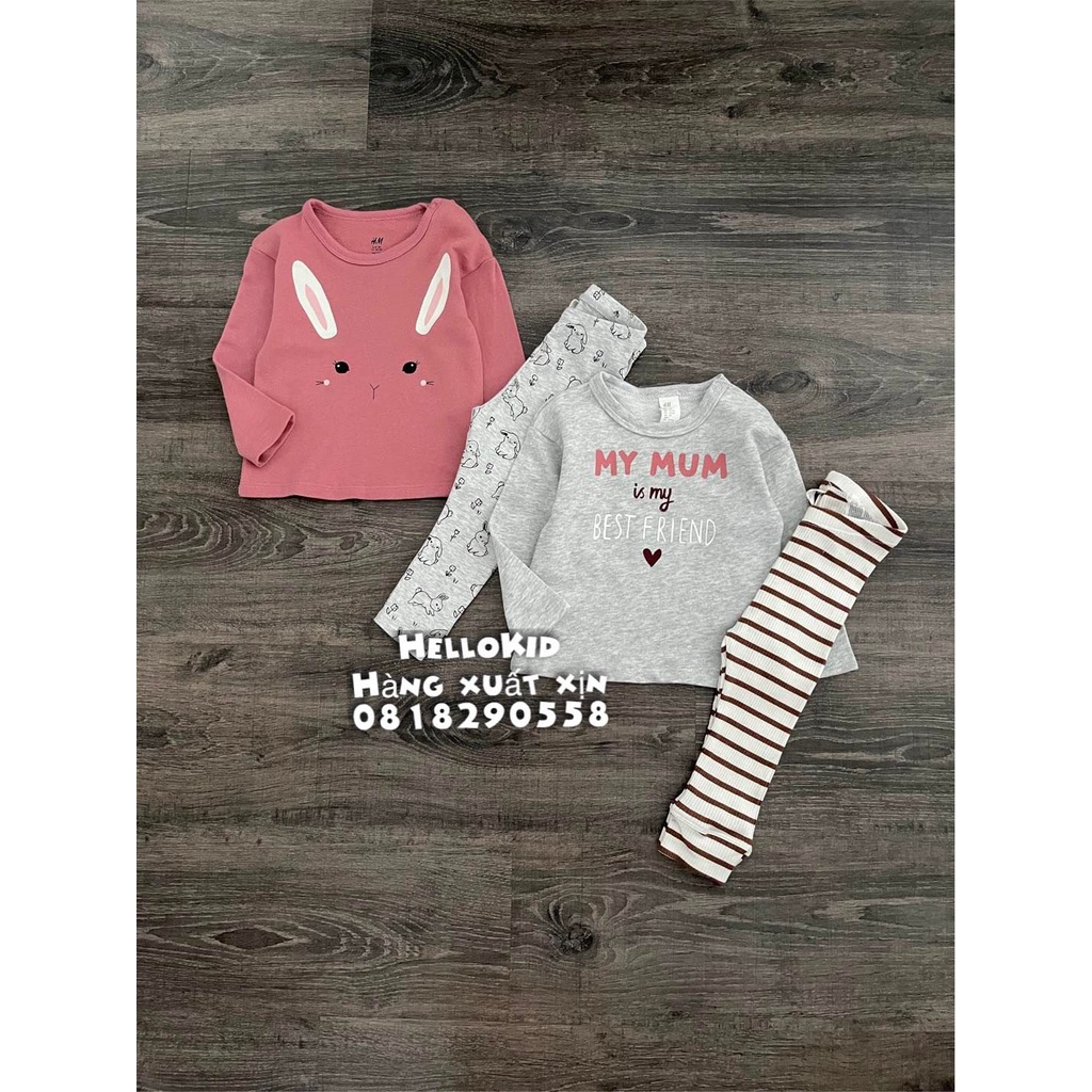 B434 - Bộ nỉ da cá quần legging HM bé gái