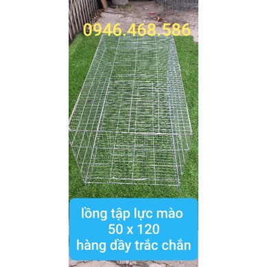 Lồng tập lực chào mào 50 x 120
