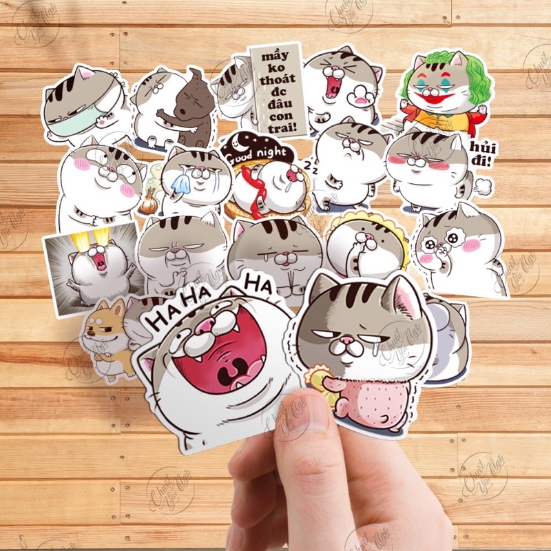 Sticker Ami/bụng bự dễ thương trang trí nón bảo hiểm xe máy hình dán chống thấm nước NT 01