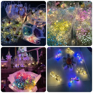 Đèn LED Đom Đóm Fairylight Trang Trí Decor Nhà Cửa - Có 3 Chế Độ - Kèm Sẵn Pin (1 mét / 2 mét)