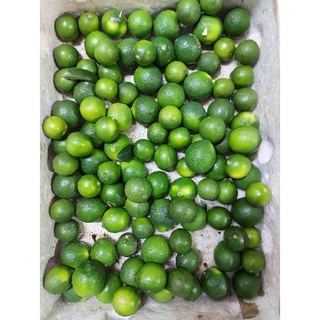 Chanh Quả Tươi (500gram) Chanh Quả Trắng