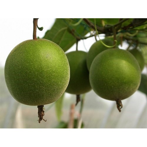 1Kg Quả La Hán Bể