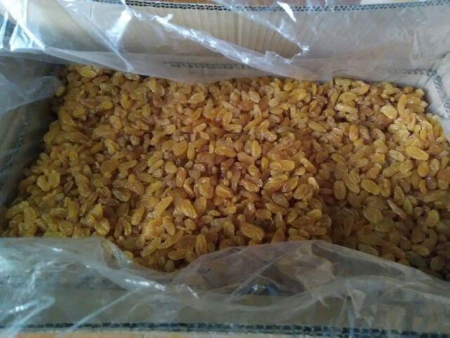 Nho khô vàng Golden Raisin Ấn Độ 500g