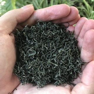 Trà Tân Cương thượng hạng