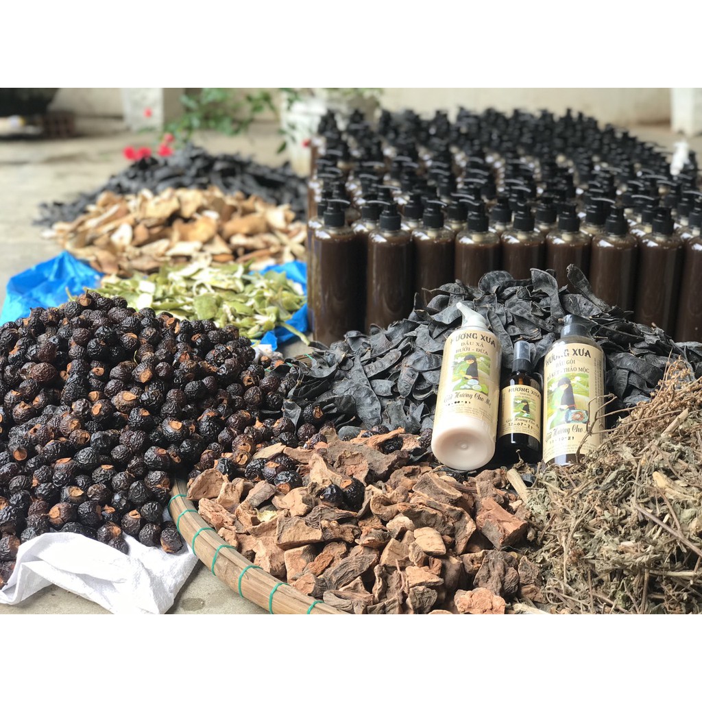 COMBO NGĂN RỤNG TÓC: DẦU GỘI BỒ KẾT THẢO DƯỢC CÔ ĐẶC, DẦU XẢ THIÊN NHIÊN BƯỞI DỪA VÀ XỊT TINH DẦU BƯỞI BOBOON | BigBuy360 - bigbuy360.vn