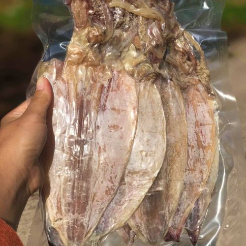 1 con mực khô to như hình