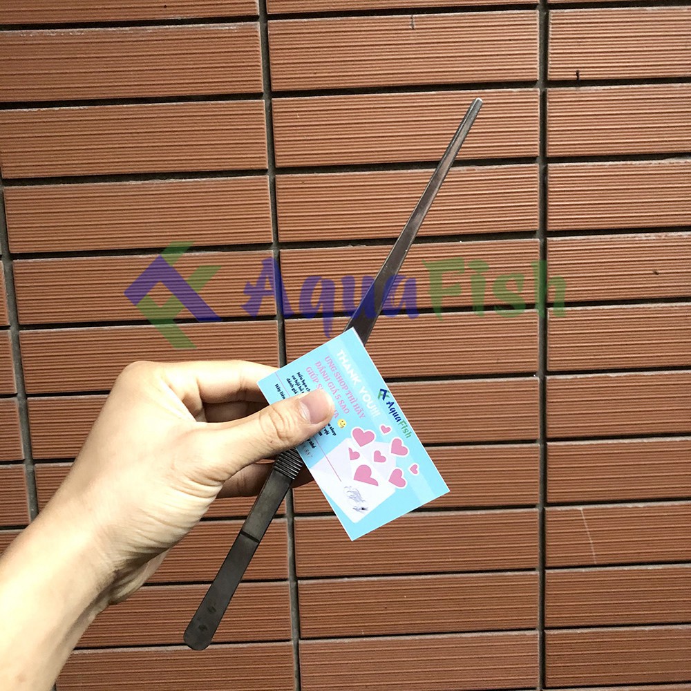 Kẹp Nhím Trồng Cây Thủy Sinh