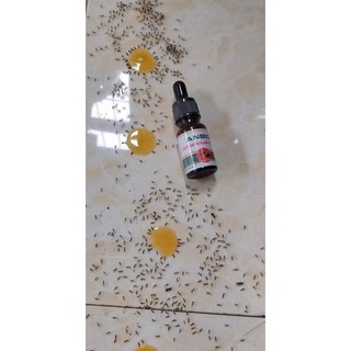 DIỆT KIẾN GIÁN SINH HỌC ANBIO