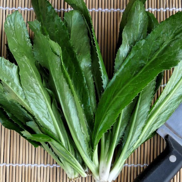 10g HẠT GIỐNG NGÒ GAI