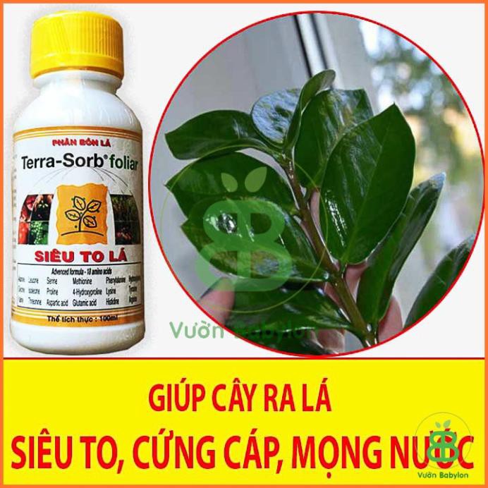 (NEW) Phân Bón Kích Ra Hoa, Siêu To Lá Terra Sorb foliar 100ml