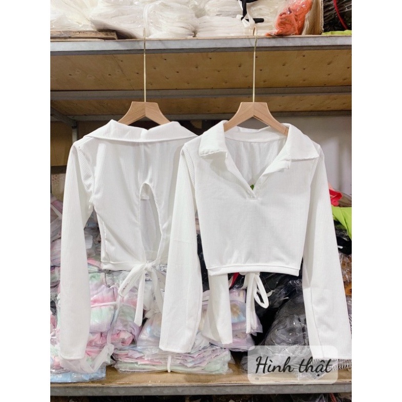 Áo croptop dạng polo tay dài hở lưng chất thun gân - B5N