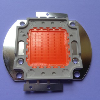 Epileds chip led 50w - trồng cây