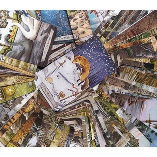 Bộ bài Animal Totem Tarot Size Thường Nifoki E3