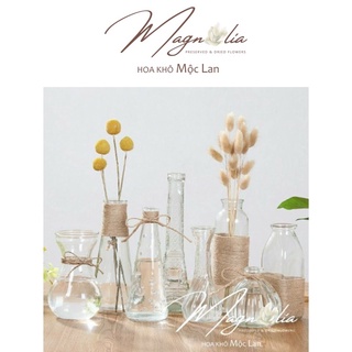 Lọ thủy tinh cắm hoa 🍁FREESHIP🍁 Lọ hoa quán thừng decor xinh xắn phong cách Bắc Âu Vintage