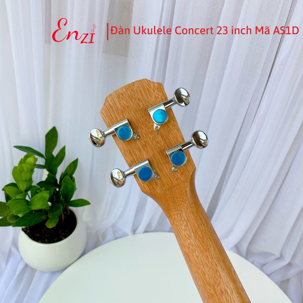 Đàn ukulele concert AS1D Enzi 23 inch gỗ mộc viền chim công khóa đúc giá rẻ cho bạn mới bắt đầu tập chơi