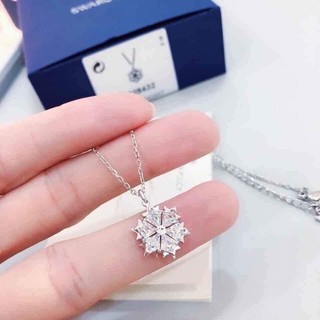Dây hoa tuyết trắng